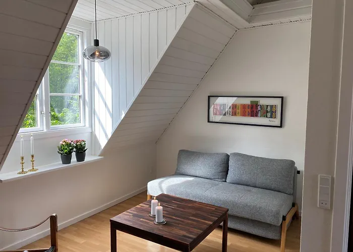 Den Gamle Vandmolle Apartment Assens