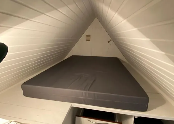 Den Gamle Vandmolle Assens